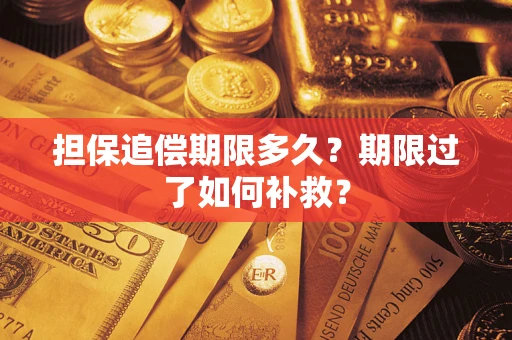 济南担保追偿期限多久？期限过了如何补救？