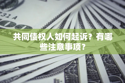 济南共同债权人如何起诉？有哪些注意事项？